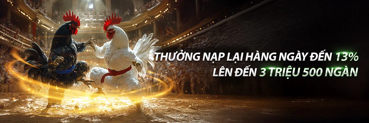 Hình ảnh chính về Cá cược có trách nhiệm tại hi88n trang chủ chính thức